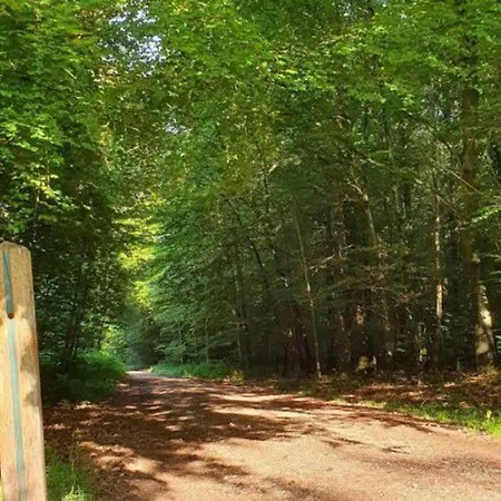 营地 2 Pour 5 Personnes Avec Terrasse - Api-1-52-537 *